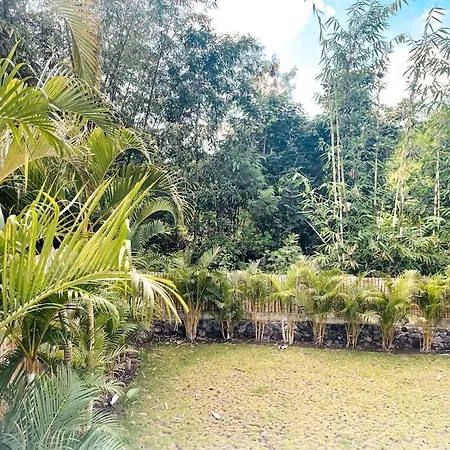 New Jungleview Villa Canggu 3Bedroom Exterior photo
